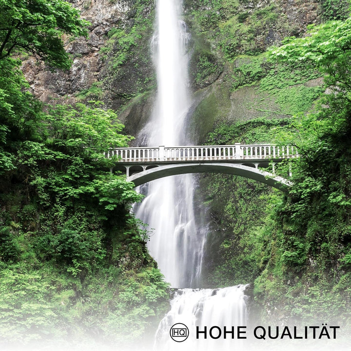 Novart Bilder Set - AUFHÄNGFERTIG - KEIN EXTRA RAHMEN BENÖTIGT - Grüne Blätter Wasserfall Modern Pfl