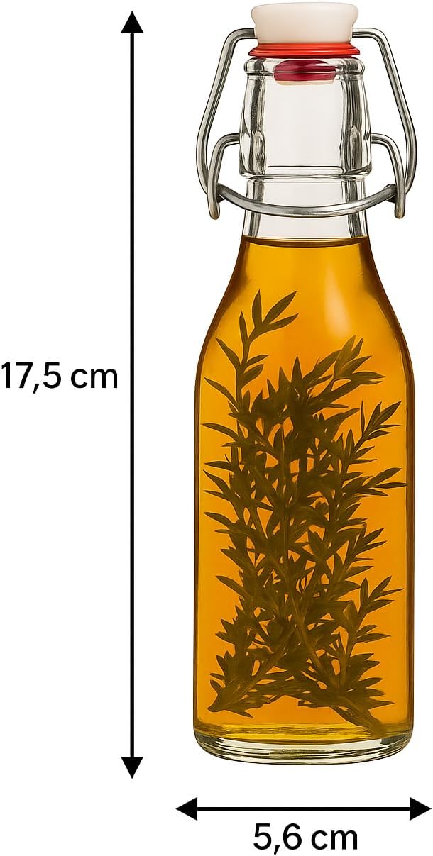 hocz 10er Set Bügelflaschen Bügelflasche Glasflaschen 200ml mit Bügelverschluss zum Selbstbefüllen B