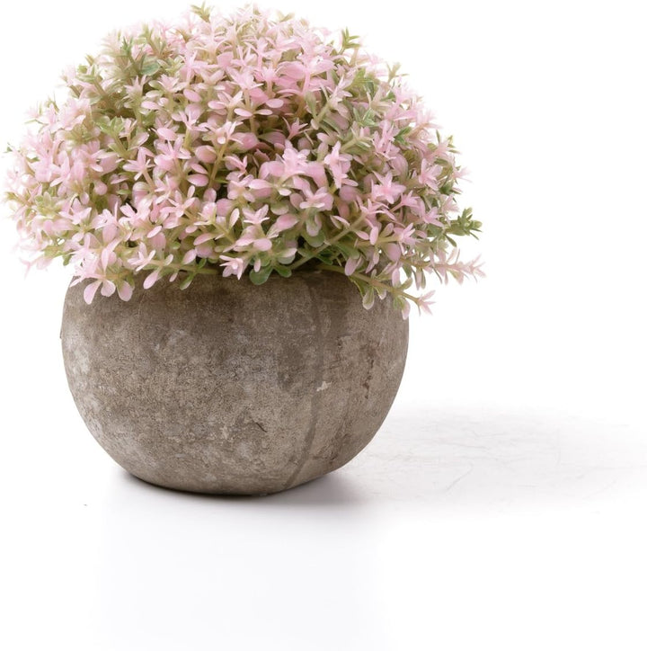T4U Künstliche Sukkulenten im Topf, Mini-gefälschte Bunte lebensechte Blumen in Töpfen für Zuhause,