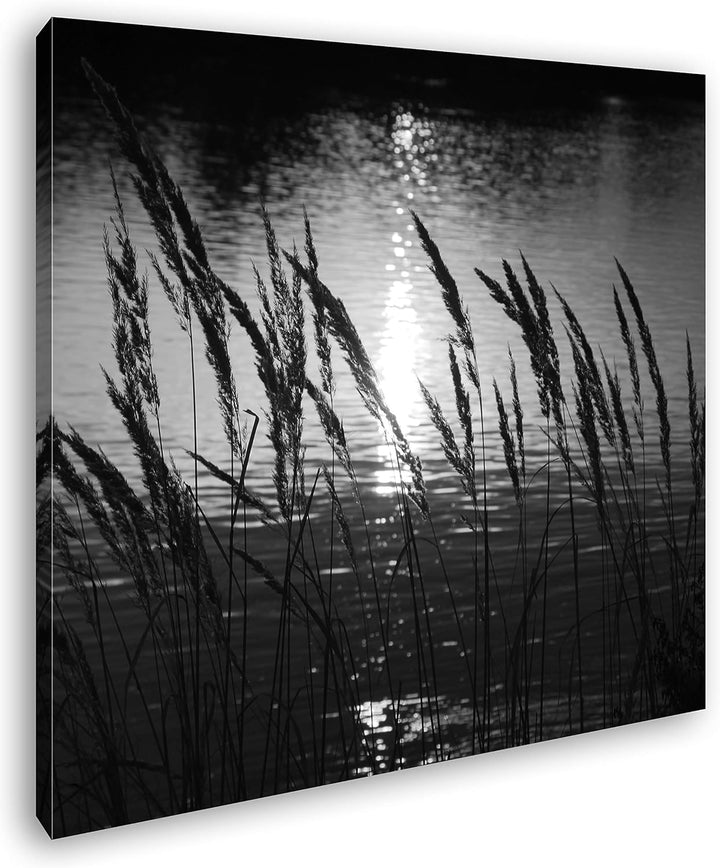 deyoli Gräser am Ufer eines Sees Format: 70x70 Effekt: Schwarz&Weiss als Leinwandbild, Motiv fertig