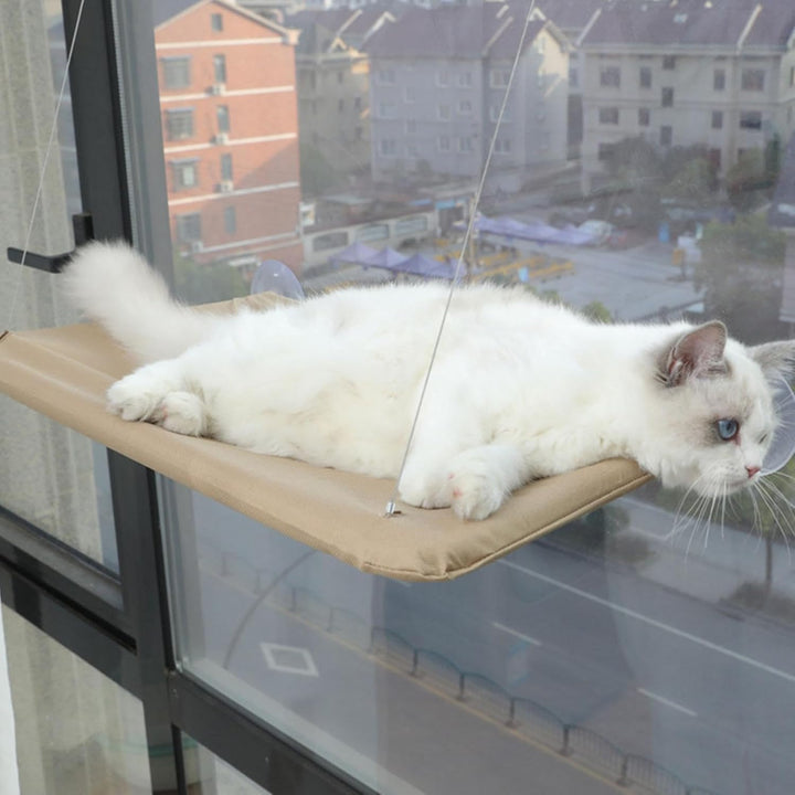 Katzen Hängematte Fensters, Katze Fensters Barsch Mits 4 Starken Saugnäpfen Platz Sparende Katzen Hä
