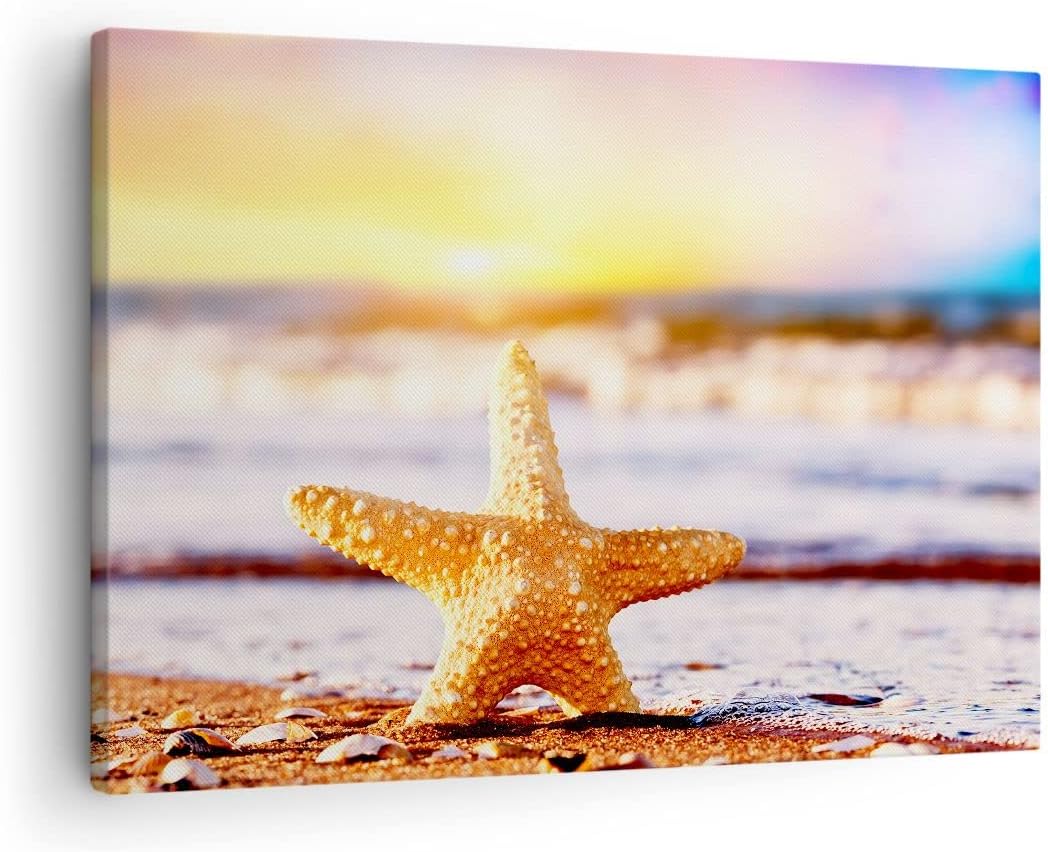 Bilder auf Leinwand Starfish Strand Sand Ozean Leinwandbild 70x50cm Wandbilder Dekoration Wohnzimmer