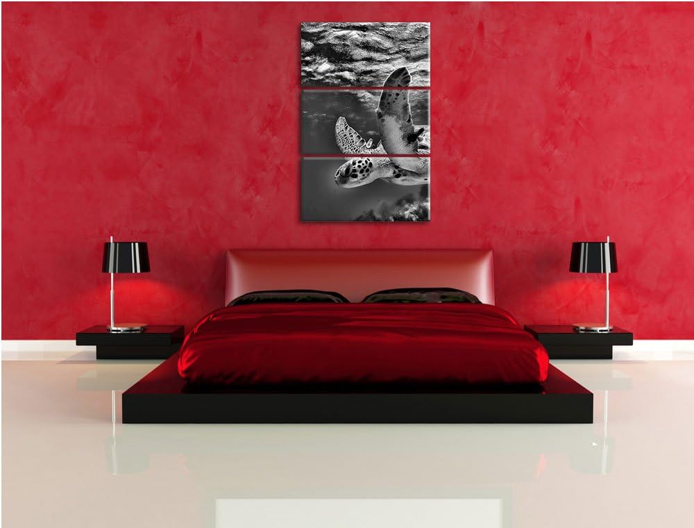 Pixxprint Schildkröte im Riff als Leinwandbild/Grösse: 3 Teilig (120x80) cm/Wandbild/Kunstdruck/fert