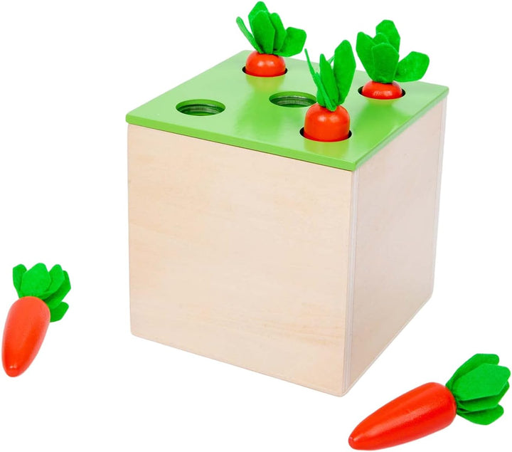 4 in 1 Montessori Play Kit Box - Wattestäbchen Board Fine Motor Skills Game, Coin Box, Carrot Harves