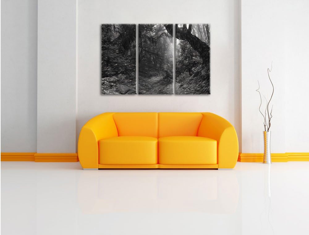 Pixxprint Mystischer Regenwald als Leinwandbild/Grösse: 3 Teilig (120x80 cm) cm/Wandbild/Kunstdruck/