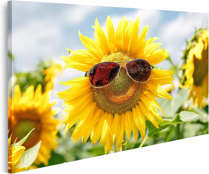 islandburner Bild auf Leinwand Lustige Sonnenblume Sonnenbrille Feld Bilder Wandbilder Poster Leinwa