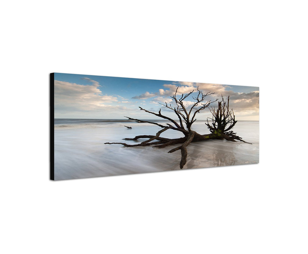 Augenblicke Wandbilder Leinwandbild als Panorama in 150x50cm Baum Geäst Nebel Wolken Himmel