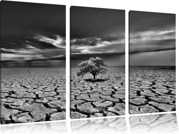 Pixxprint Monocrome, Der letzte Baum im ausgetrockneten Boden 3-Teiler Leinwandbild 120x80 Bild auf