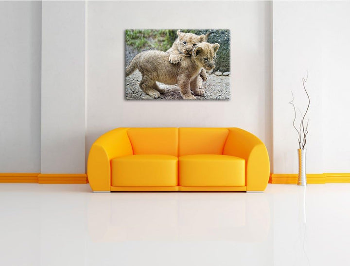 Pixxprint spielende Löwenjunge auf Leinwand, XXL riesige Bilder fertig gerahmt mit Keilrahmen, Kunst