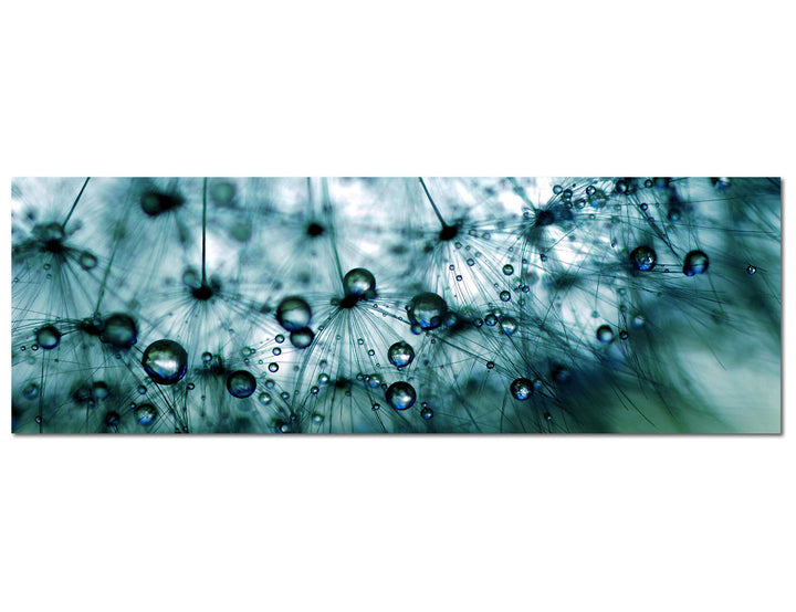 Paul Sinus Art Panoramabild auf Leinwand und Keilrahmen 120x40cm Pusteblume Löwenzahn Wassertropfen