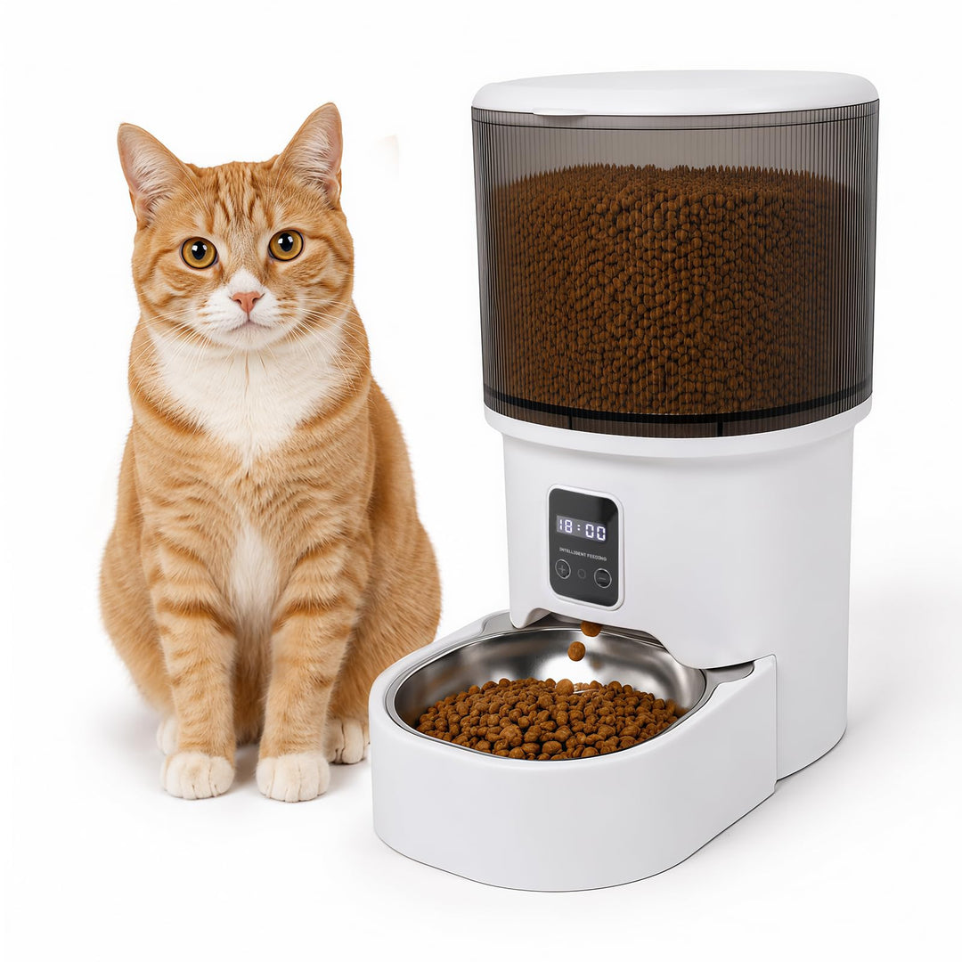 Futterautomat Katze 4 L, Katzenfutter Automat, 1-6 Mahlzeiten pro Tag, Futter für Katzen/Hunde, Mit