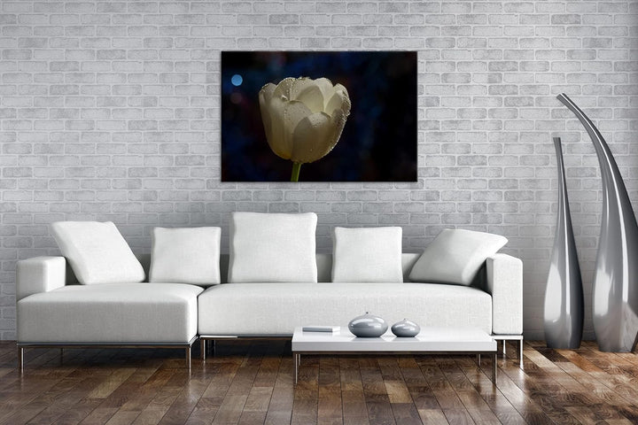 deyoli schneeweisse Tulpe Format: 80x60 als Leinwandbild, Motiv fertig gerahmt auf Echtholzrahmen, H