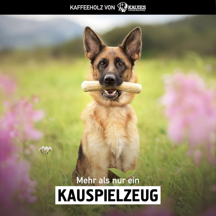 Kaffeeholz für Hunde - Hundespielzeug 100% natürlich, vegan, koffeinfrei &amp; kalorienfrei, schadstoffg