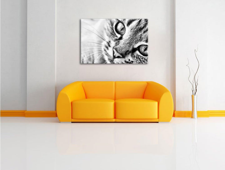 Pixxprint Grosse Katzenaugen / 100x70cm Leinwandbild bespannt auf Holzrahmen/Wandbild Kunstdruck Dek