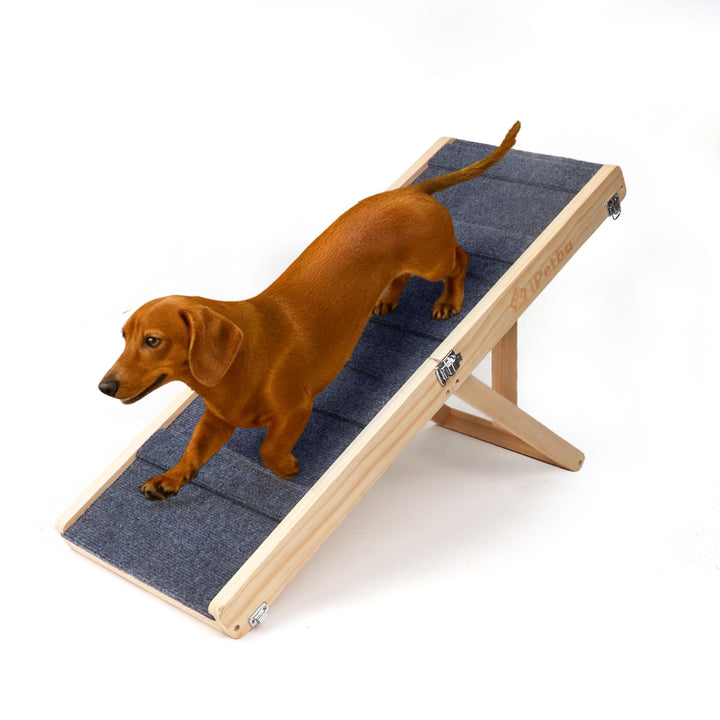 Hunderampe für Bett & Sofa – Gelenkschonend, Anti-Rutsch, Klappbar, Verstellbar, Tragbar, Für Hunde