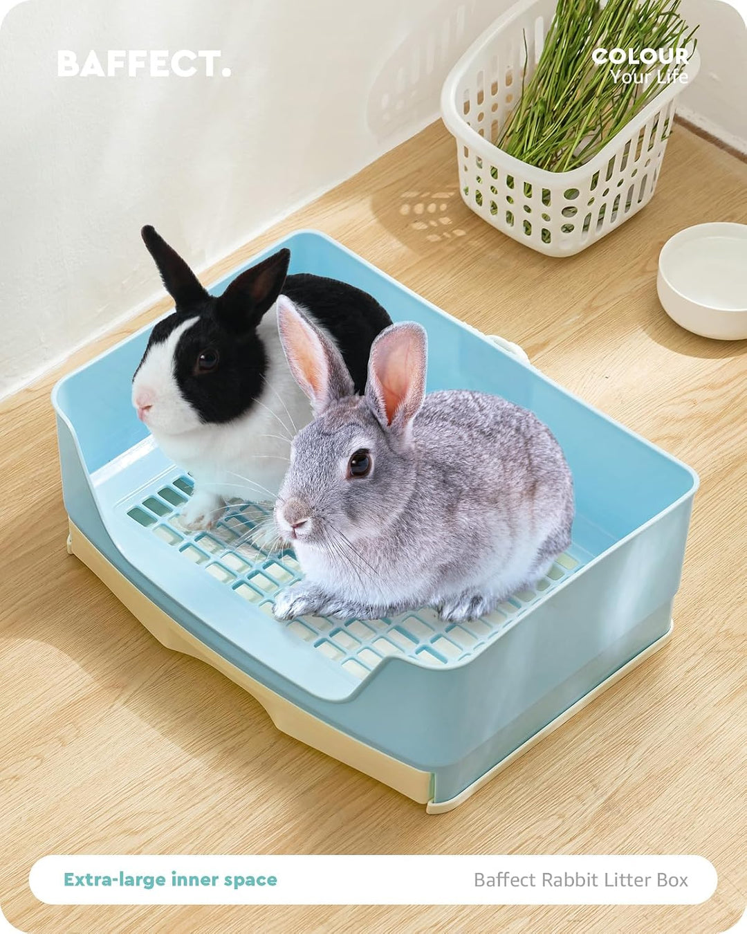 Baffect Kaninchentoilette, Hasentoilette Mit Abnehmbarem Tablett (Blau) | Toilette FüR Kaninchen, Ra