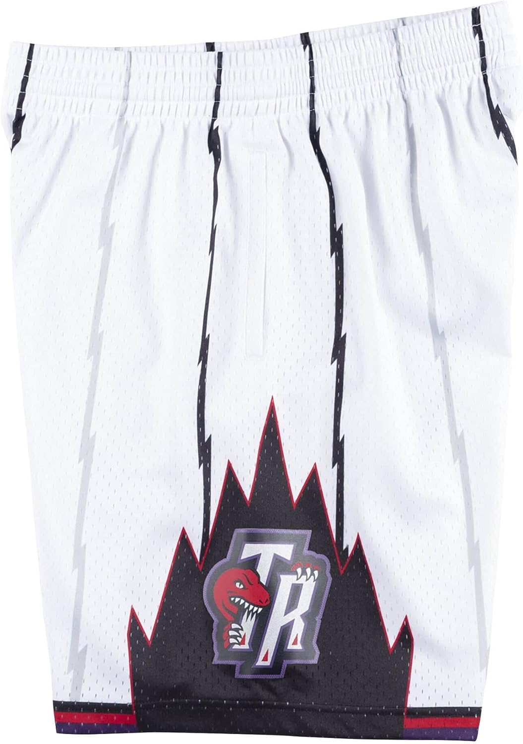 Mitchell & Ness NBA Swingman Shorts 2.0 - T. Raptors, L