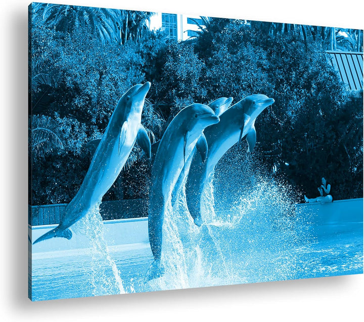 deyoli springende Delphine im Zoo Format 80x60 Effekt: Monocrome Blau als Leinwandbild, Motiv fertig