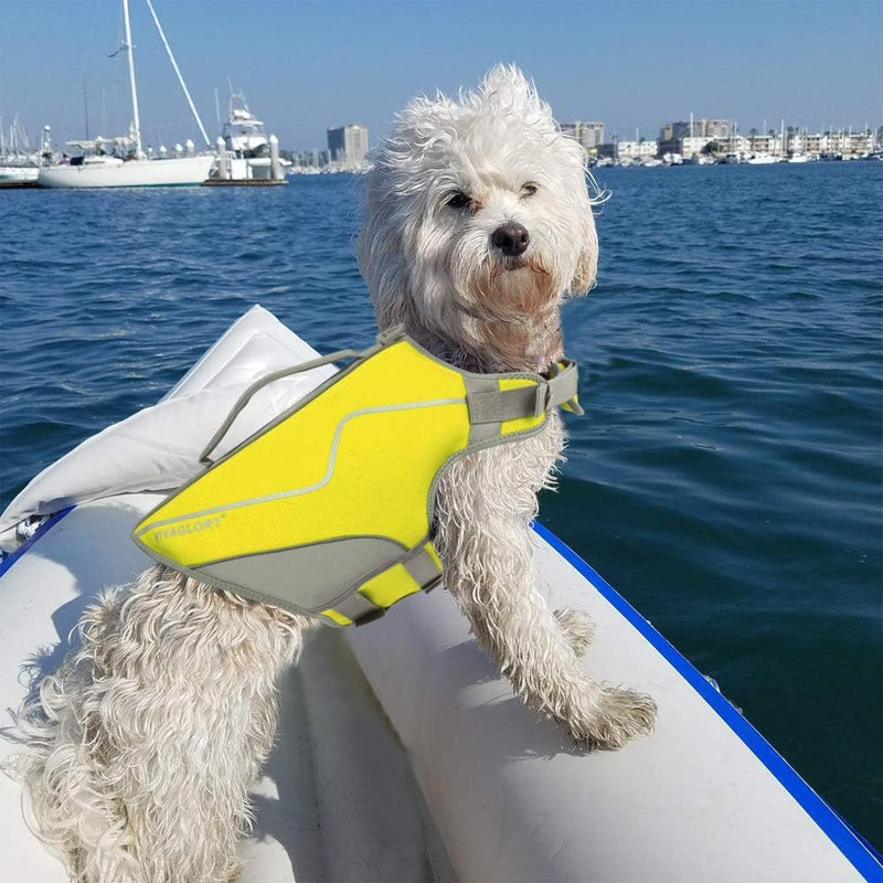 VIVAGLORY Schwimmweste für Hunde im sportlichen Stil, Strapazierfähige Haustier-Sicherheitsweste, Be