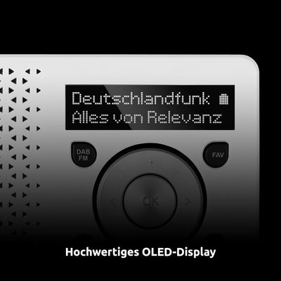 TechniSat DIGITRADIO 1 – tragbares DAB+ Radio mit Akku (DAB, UKW, Lautsprecher, Kopfhöreranschluss,