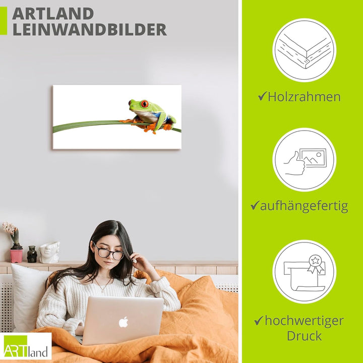 ARTland Leinwandbilder Wandbild Bild auf Leinwand 100x50 cm Frosch Tiere Natur Pflanze Blätter Gräse