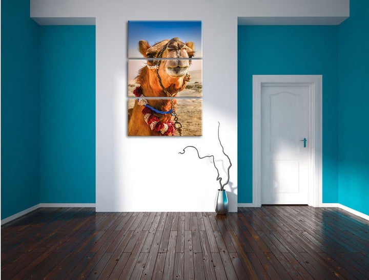 Pixxprint Lustiges Kamel in Wüste als Leinwandbild/Grösse: 3 Teilig (120x80) cm/Wandbild/Kunstdruck/