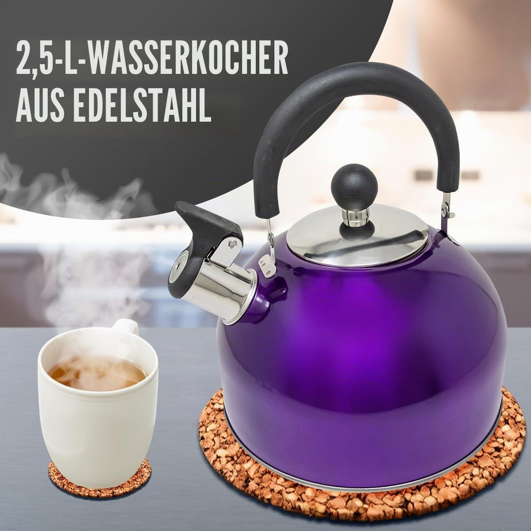 Leichter Wasserkessel mit Pfeiffe aus rostfreiem Edelstahl, Wasserkocher für Camping und Angeln, 2,5