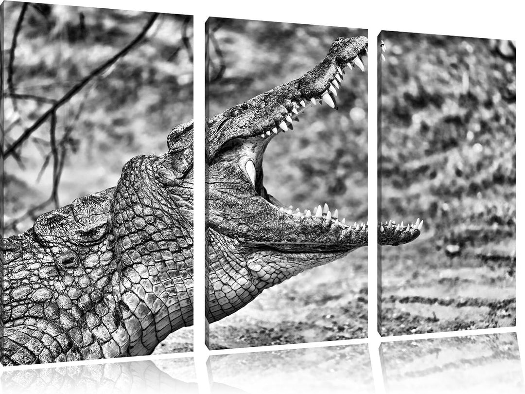 Pixxprint gewaltiges Krokodil als Leinwandbild/Grösse: 3 Teilig (120x80) cm/Wandbild/Kunstdruck/fert
