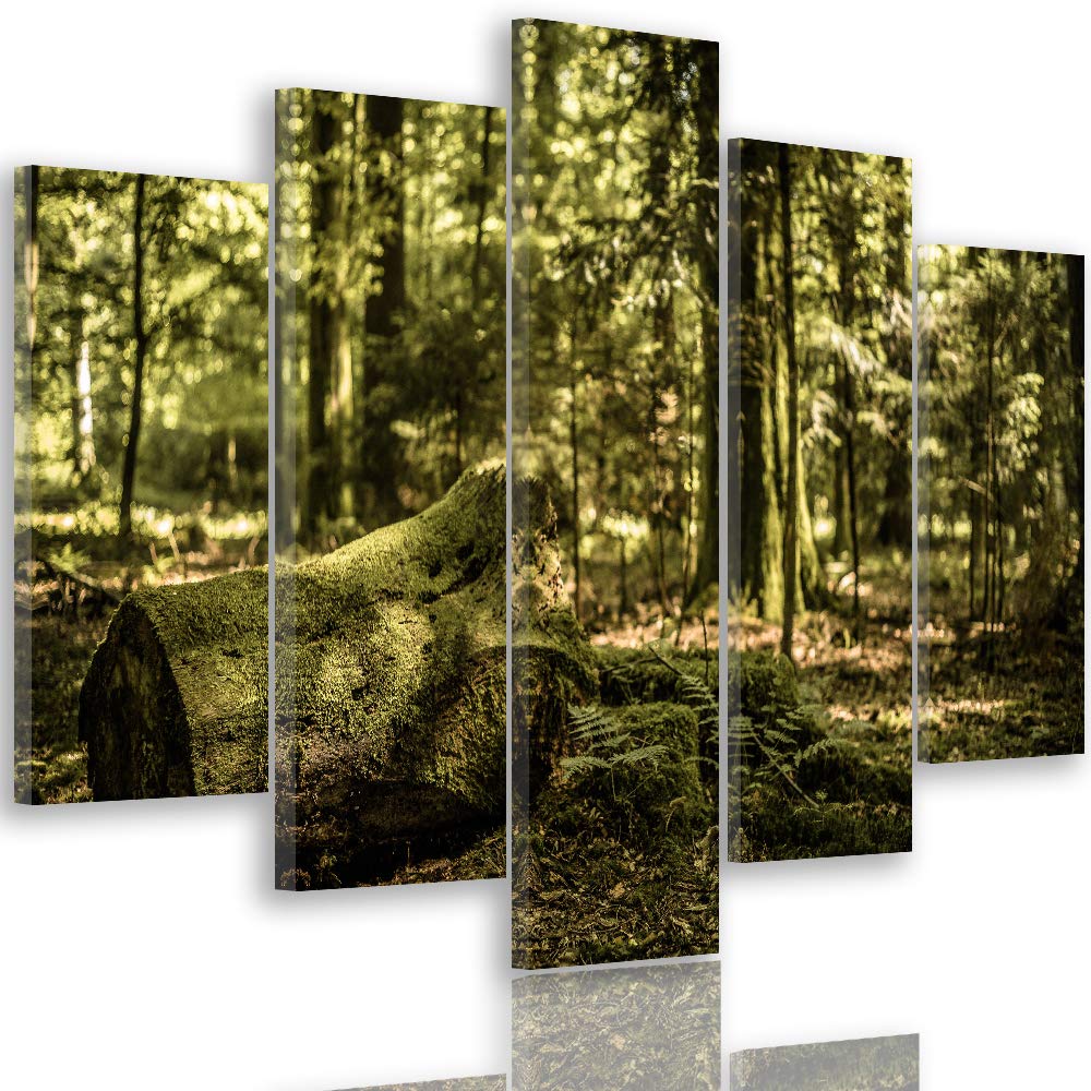 Feeby Wanddeko XXL Landschaft Leinwandbild 5 Teilig Wald Bäume Natur braun 100x70 cm Leinwandbild 10
