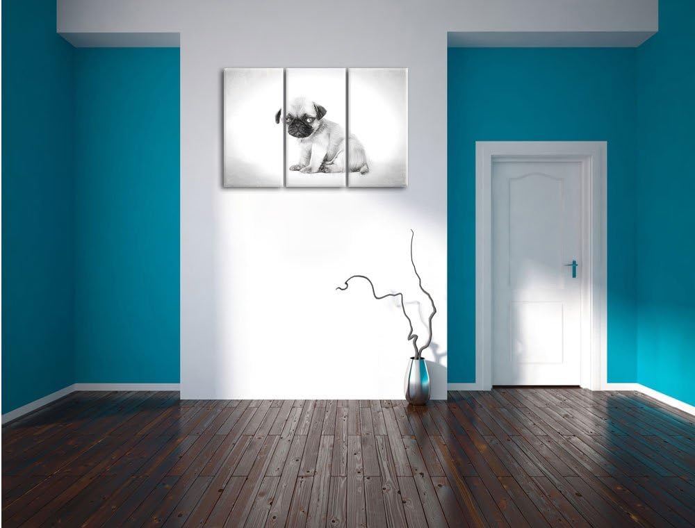 Pixxprint Kleiner Hundewelpe Mops als Leinwandbild/Grösse: 3 Teilig (120x80) cm/Wandbild/Kunstdruck/
