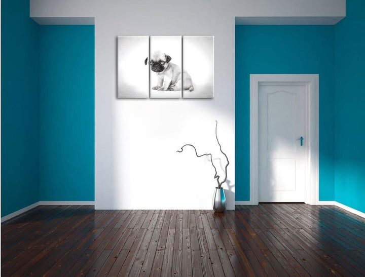 Pixxprint Kleiner Hundewelpe Mops als Leinwandbild/Grösse: 3 Teilig (120x80) cm/Wandbild/Kunstdruck/