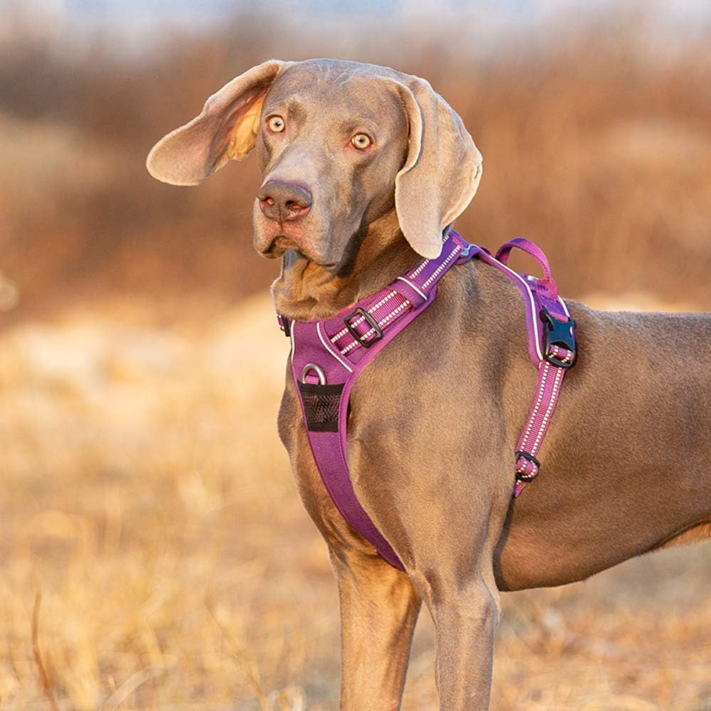 True Love Hundegeschirr, kein Ziehen, verstellbar, reflektierend, weiches Nylon, für kleine und gros