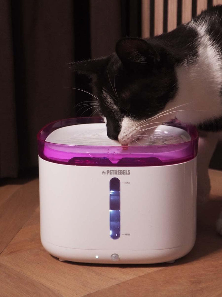 Petrebels Trinkbrunnen für Katze, Jet 19 Katzenbrunnen, Kabellos, mit Bewegungssensor, mit LED, Ultr