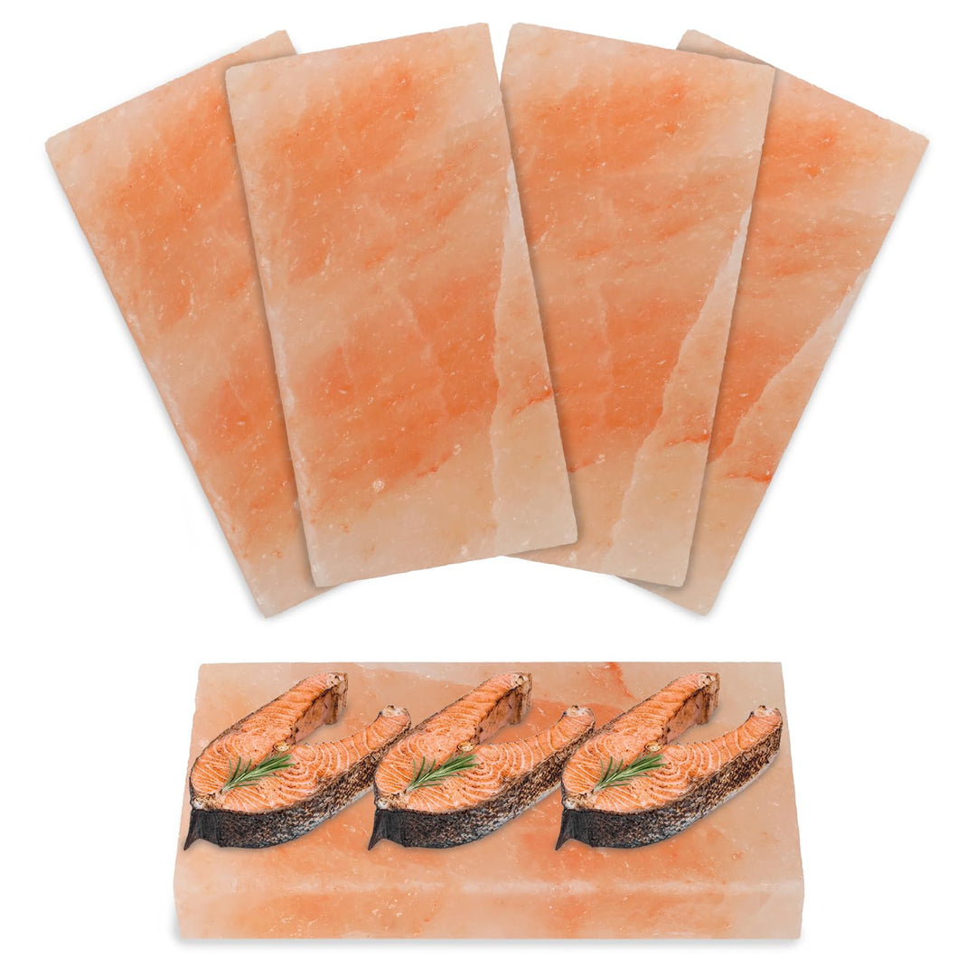 Fiqops 4x Salzstein zum Grillen L, 20x10x2,5cm Salz Grillsteine, Wiederverwendbar Salzgrillstein, Or