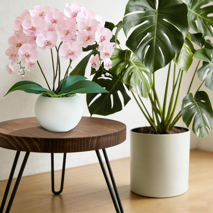 Pflanzenständer Holz, Blumenständer Balkon Rund Blumenhocker Holz Innen mit 3 Beinen, Pflanzenhocker