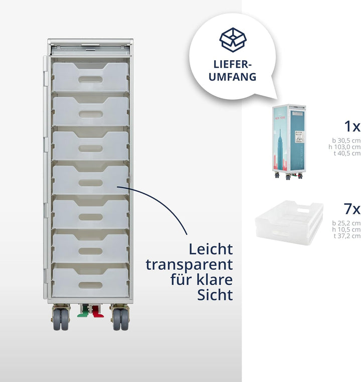 Airline Trolley Henry Rivers, Büroschrank, Aktenschrank klein, Küchenwagen Edelstahl, Norm: Atlas, 1