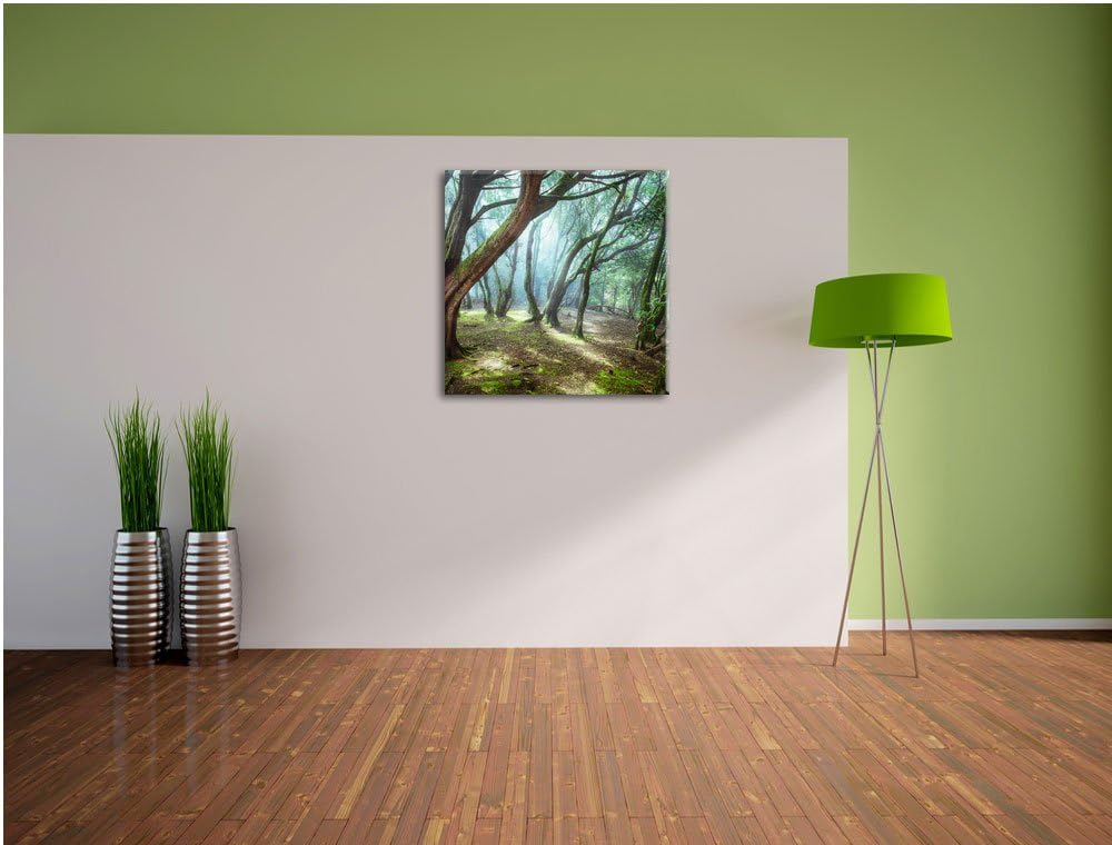 Pixxprint Wald, Format: 70x70 auf Leinwand, XXL riesige Bilder fertig gerahmt mit Keilrahmen, Kunstd