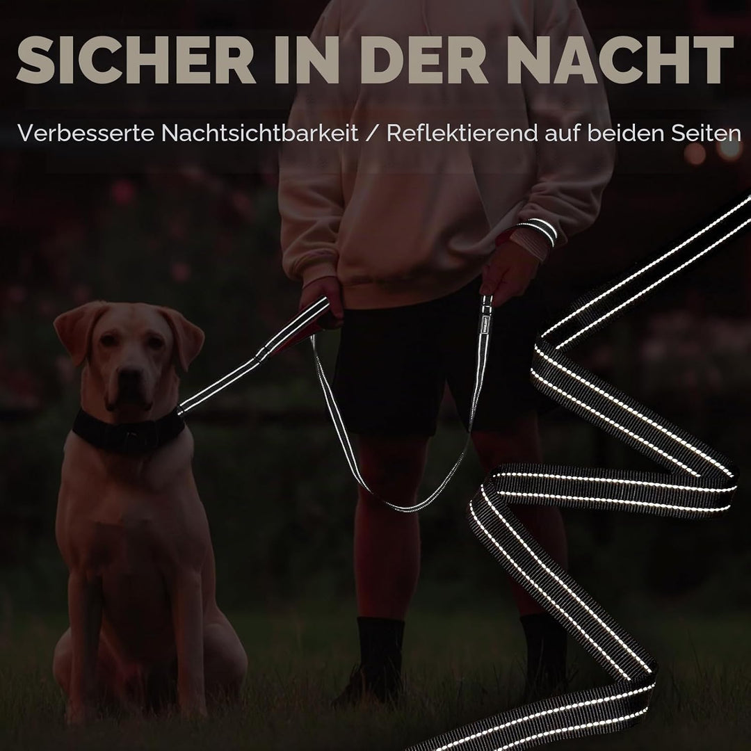 VIVAGLORY Twingrip Führleine Hund, Leine Hund Hausleine Joggingleine, Hundeleine mit 2 Griffen Doppe