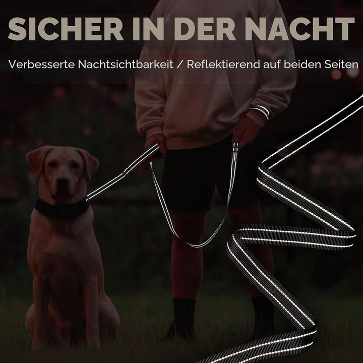 VIVAGLORY Twingrip Führleine Hund, Leine Hund Hausleine Joggingleine, Hundeleine mit 2 Griffen Doppe