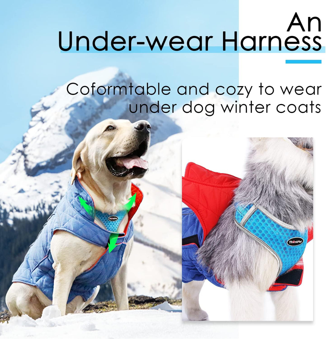 ThinkPet No-Pull Hundegeschirr Leine Set, Atmungsaktiv Brustgeschirr für Kleine Mittlere Grosse Hund