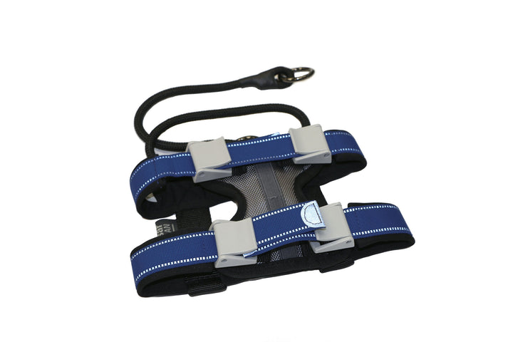 Cesar Millan Pack Leader Collar - Trainingshalsband des Hundeflüsterers S Blau, S Blau