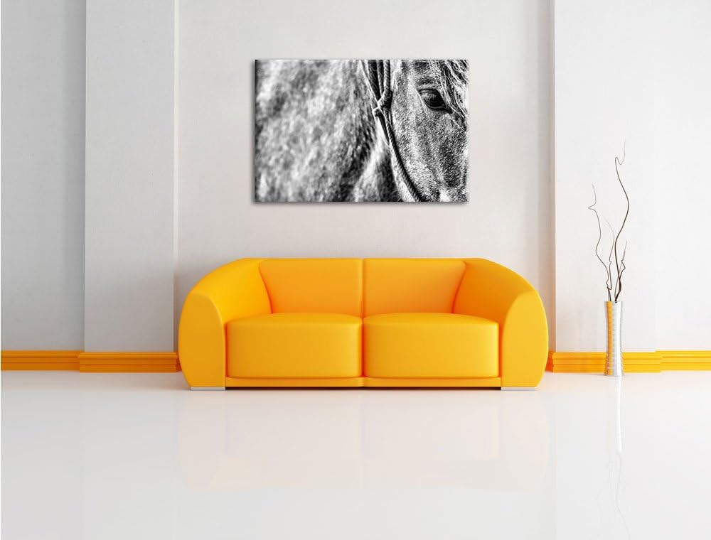 Pixxprint prachtvolles Pferd als Leinwandbild/Grösse: 100x70 cm/Wandbild/Kunstdruck/fertig bespannt,