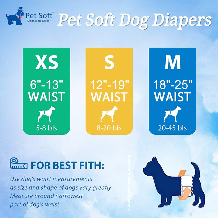 Pet Soft Hundewindel für Rüden, Einweg-Windel für Rüden, Rüdenwindeln, Super saugfähig und auslaufsi
