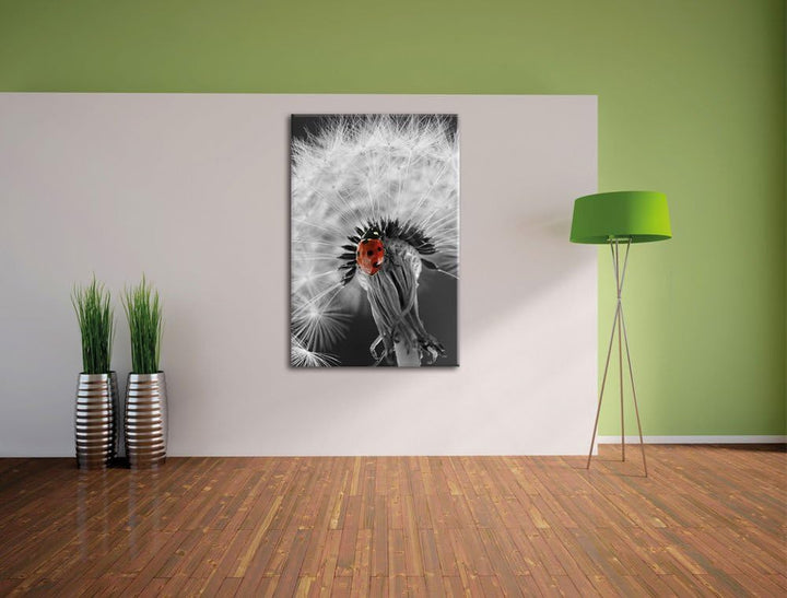 Pixxprint schöner Marienkäfer auf Pusteblume als Leinwandbild/Grösse: 100x70 cm/Wandbild/Kunstdruck/