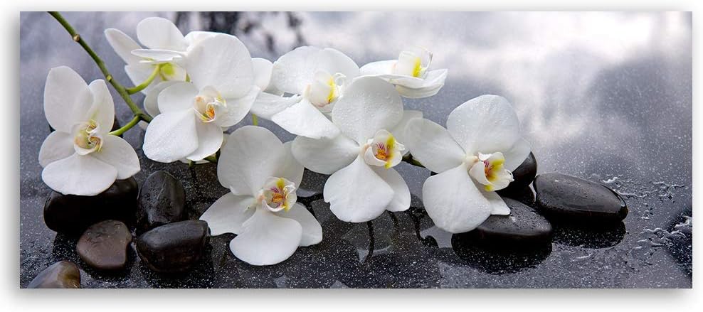 Feeby Wanddeko Orchideen Leinwandbild Kunstdruck Steine Grau 120x40 cm Leinwandbild 120x40 cm Grau_a
