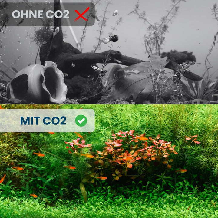 Q-Grow CO2 Diffusor Aquarium aus Edelstahl, mit wechselbarer Keramikscheibe, inkl. 2m Schlauch - 30c