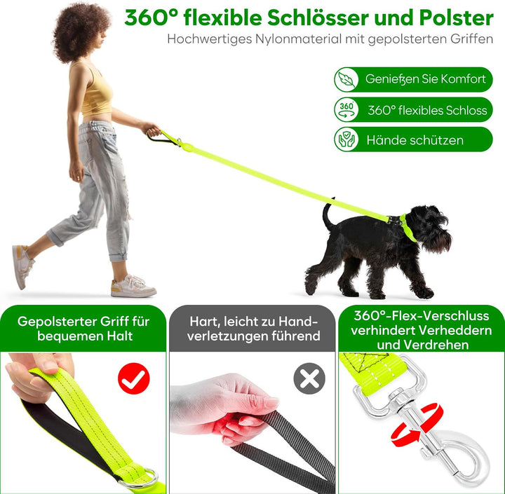 ChalkLit LED Hundeleine, Beleuchtete Hundeleine über USB Wiederaufladbar, 1,2 m, Weich Wasserdicht R