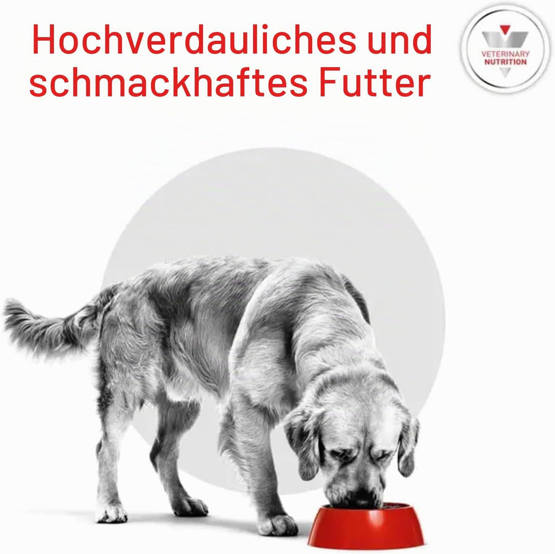Royal Canin Diabetic 12 kg Adult
