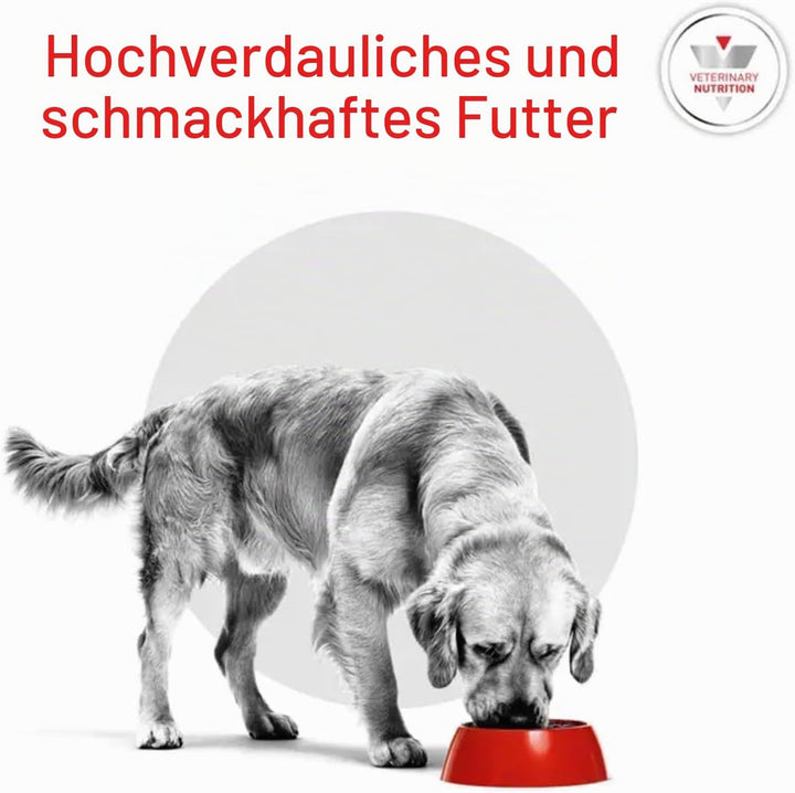 Royal Canin Diabetic 12 kg Adult