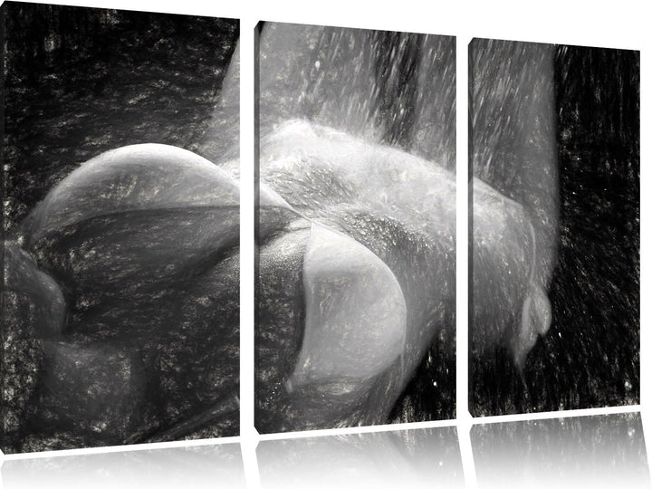 Pixxprint Frau im Bikini unter Einer Dusche als Leinwandbild/Grösse: 3 Teilig (120x80) cm/Wandbild/K